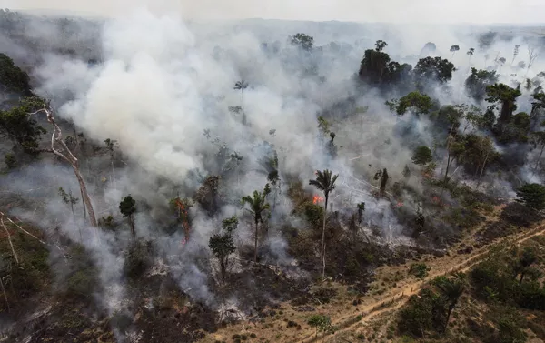 Desmatamento voltou a crescer na Amazônia nos dois últimos anos Desmatamento voltou a crescer na Amazônia nos dois últimos anos - Sputnik Brasil