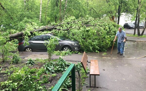 Forte tempestade provoca mortes e feridos em Moscou, 29 de maio de 2017 - Sputnik Brasil