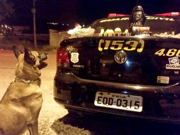 Cão Thor, durante operação policial de combate ao tráfico de drogas  - Sputnik Brasil