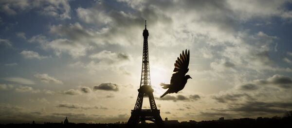 A bird flies in front of the Eiffel Tower ,which remained closed on the first of three days of national mourning, in Paris, Sunday, Nov. 15, 2015. - Sputnik Brasil