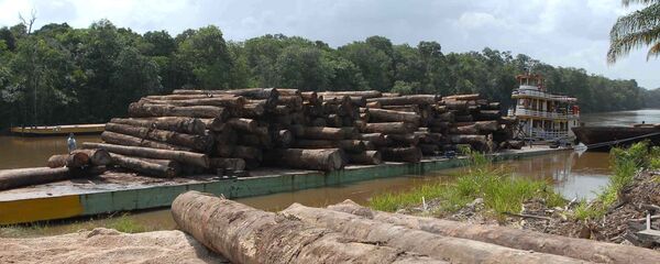 Desmatamento voltou a crescer na Amazônia nos dois últimos anos - Sputnik Brasil