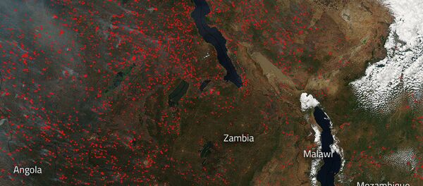 Àfrica está abarcado por incêndios florestais - Sputnik Brasil