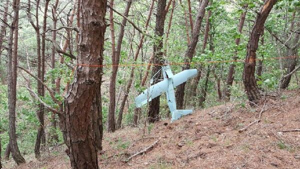 Objeto que parece ser um drone encontrado por militares sul-coreanos na área montanhosa de Inje, na província de Gangwon, na parte leste da fronteira entre os dois países na Península Coreana - Sputnik Brasil