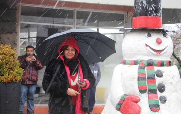 Neve em São Joaquim (SC) - Sputnik Brasil