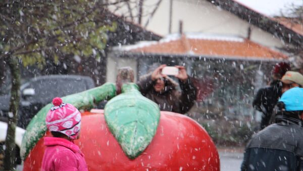 Neve em São Joaquim (SC) - Sputnik Brasil