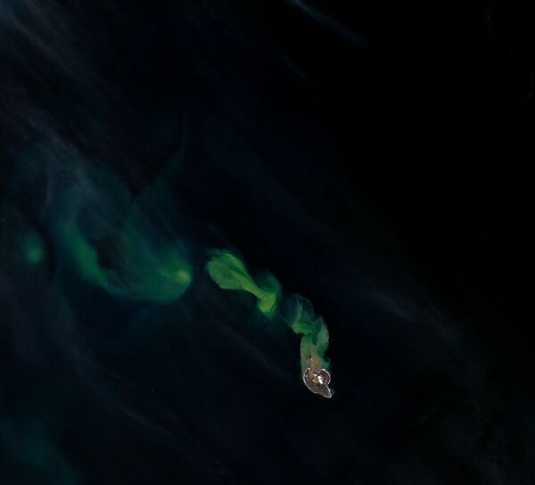 A ilha de Bogoslof que se encontra no meio da cadeia da Cordilheira Aleutiana, Alasca - Sputnik Brasil