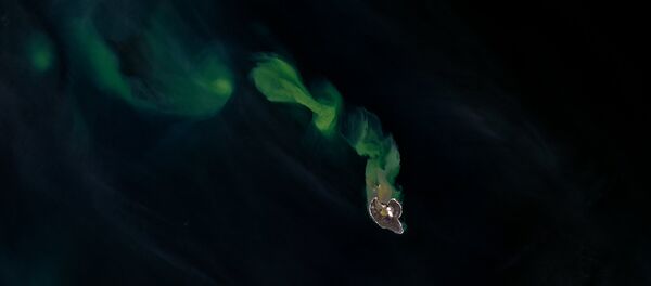 A ilha de Bogoslof que se encontra no meio da cadeia da Cordilheira Aleutiana, Alasca - Sputnik Brasil