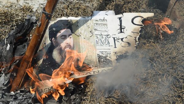 Foto queimada do líder terrorista al-Baghdadi no protesto em Nova Delhi realizado em 9 junho de 2017 - Sputnik Brasil