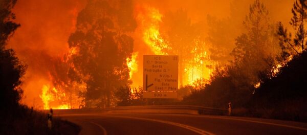 Incêndio em Portugal - Sputnik Brasil