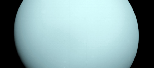 Imagem de Urano tirado pela nave robótica Voyager 2 - Sputnik Brasil
