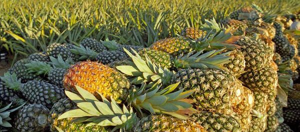 Apenas um nome da lista de oito vai herdar missão espinhosa de Janot - Sputnik Brasil