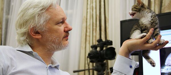 O fundador do Wikileaks admira seu novo amigo, ainda filhote - Sputnik Brasil