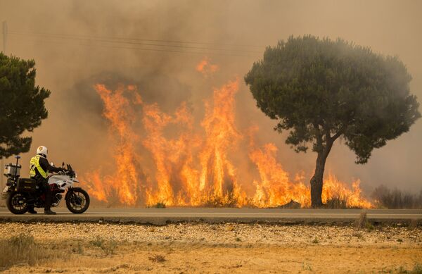 Incêndio florestal em parque nacional na Espanha - Sputnik Brasil