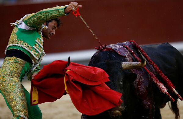 Toureiro atinge touro durante corrida na Espanha - Sputnik Brasil