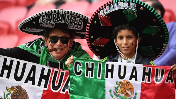 Torcedores mexicanos durante a partida entre a Rússia e o México na Copa das Confederações 2017 - Sputnik Brasil