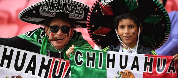 Torcedores mexicanos durante a partida entre a Rússia e o México na Copa das Confederações 2017 - Sputnik Brasil