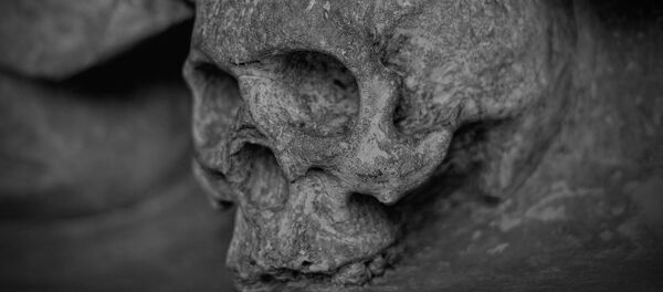 Um crânio - Sputnik Brasil