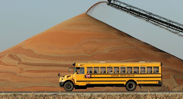 Bolsonaro abre Brasil ao etanol dos EUA em troca de emprego para o filho, diz deputado - Sputnik Brasil