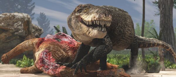 Razana, crocodilo gigante - Sputnik Brasil