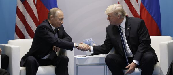 Vladimir Putin e Donald Trump se reúnem pela primeira vez na cúpula do G20 - Sputnik Brasil