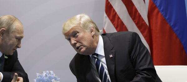 Vladimir Putin e Donald Trump se reúnem pela primeira vez na cúpula do G20 - Sputnik Brasil