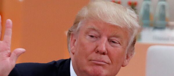 O presidente dos EUA, Donald Trump, gesticula durante uma sessão no âmbito da cúpula do grupo G20, em 8 de julho de 2017 - Sputnik Brasil