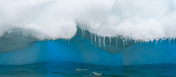 Gelo fundindo na Antártica - Sputnik Brasil