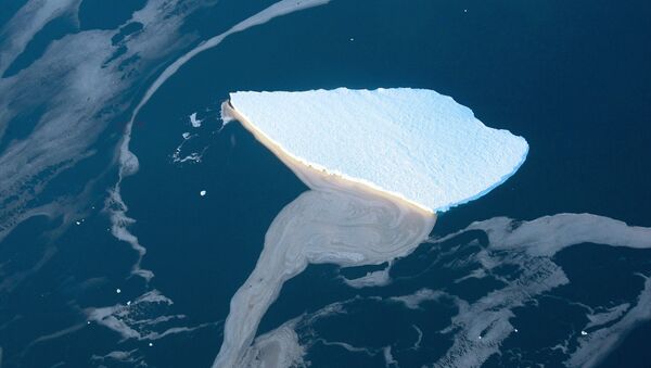 Um iceberg (imagem referencial) - Sputnik Brasil