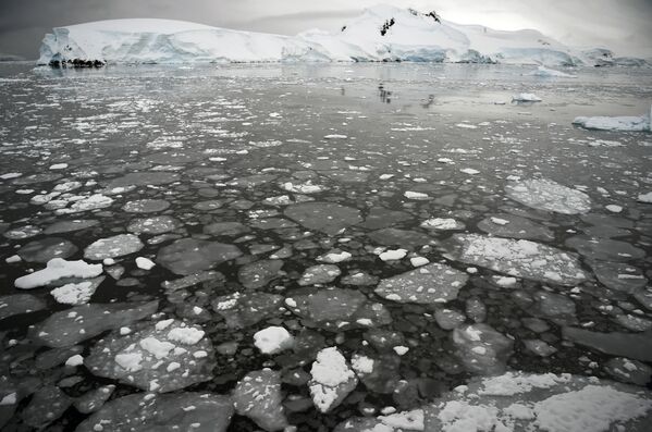 Beleza do degelo da Antártica - Sputnik Brasil