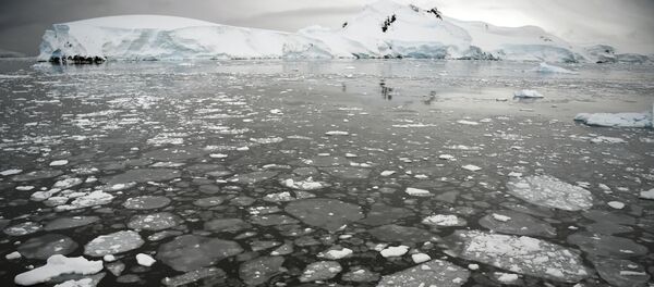Gelo flutuando na superfície do mar na parte ocidental da Península Antártica em 5 de março de 2016 - Sputnik Brasil