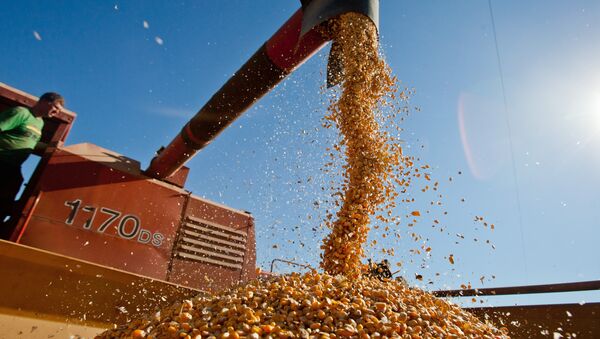 OCDE e FAO estimam que produção brasileira de soja vai crescer 2,6% por ano até 2026 - Sputnik Brasil