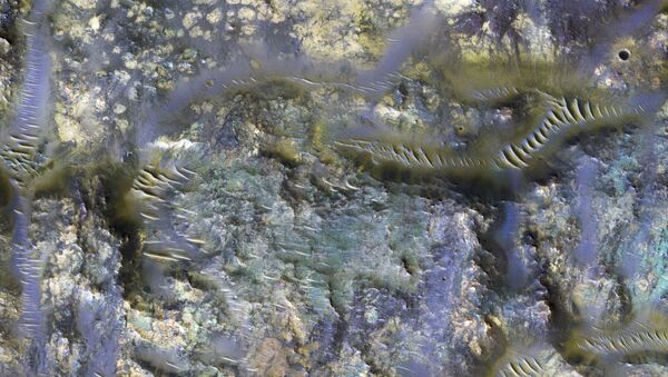 Imagem de uma cratera captada pela nave Orbitador de Reconhecimento de Marte, em uma região do planeta conhecida como Mare Serpentis - Sputnik Brasil