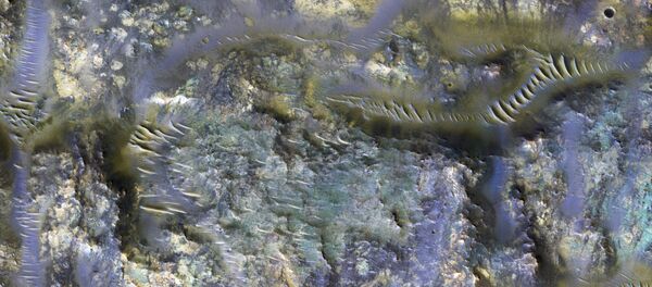 Imagem de uma cratera captada pela nave Orbitador de Reconhecimento de Marte, em uma região do planeta conhecida como Mare Serpentis - Sputnik Brasil