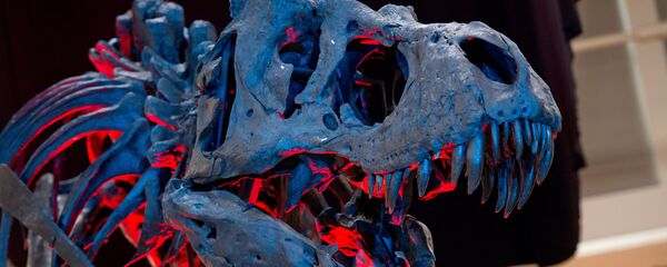 Esqueleto de Tiranossauro em museu da Alemanha Esqueleto de Tiranossauro em museu da Alemanha - Sputnik Brasil