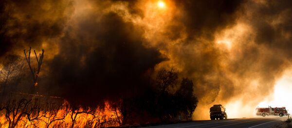 Incêndios na Califórnia - Sputnik Brasil