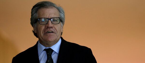 Luis Almagro, secretario general de la OEA - Sputnik Brasil