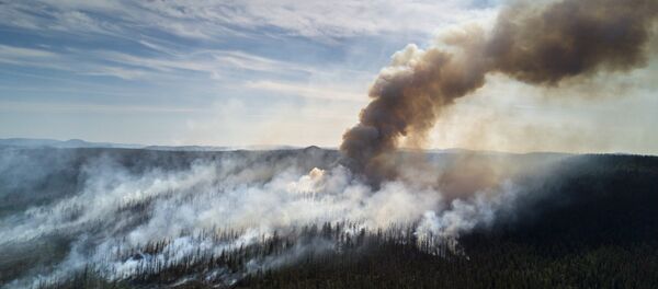 Fogo florestal na República de Yakútia - Sputnik Brasil