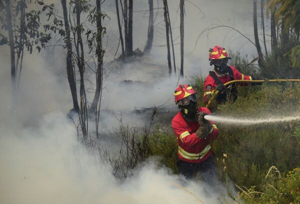 UE admite falha de cooperação a não ajudar Portugal no combate de incêndios UE admite falha de cooperação a não ajudar Portugal no combate de incêndios - Sputnik Brasil