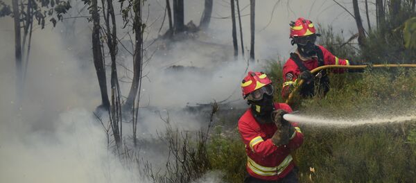 Bombeiros portugueses combatem o fogo no Vale da Ponte, em Pedrógão Grande, em 20 de junho de 2017 - Sputnik Brasil