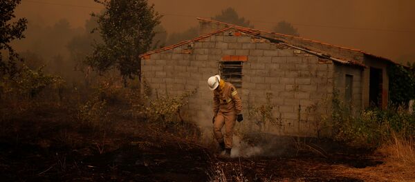 Fogo começou no domingo (23) - Sputnik Brasil