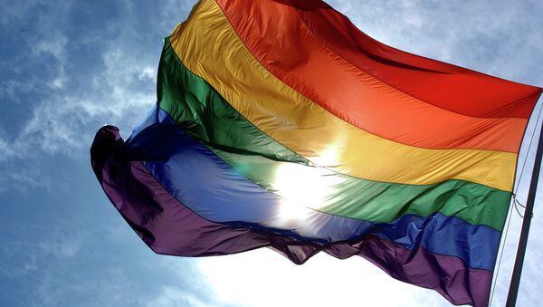 Bandeira da comunidade LGBT - Sputnik Brasil