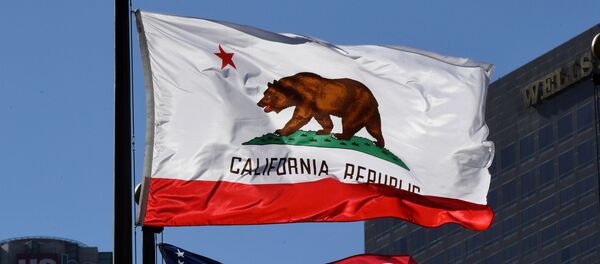 Bandeira de Califórnia em Los Angeles - Sputnik Brasil