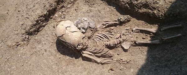 Esqueleto de um bebê do século II encontrado durante as escavações perto de Kerch, Crimeia - Sputnik Brasil