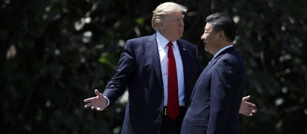 Presidente Donald Trump e seu homólogo chinês Xi Jinping durante um encontro (foto de arquivo) - Sputnik Brasil