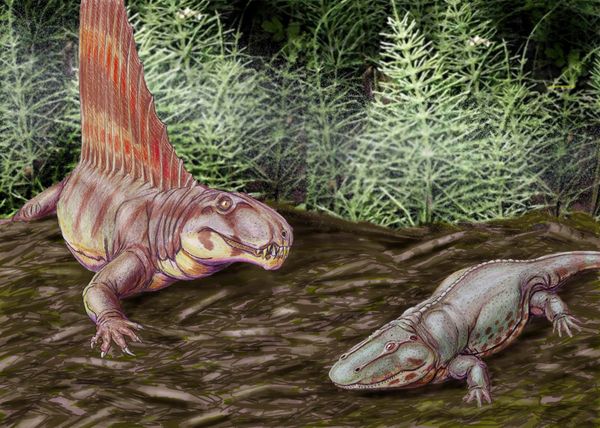 Evidência do '1º dia' da extinção dos dinossauros é encontrada - Sputnik Brasil