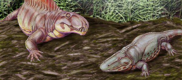 Dinossauros (ilustração) - Sputnik Brasil