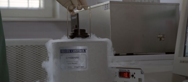Esperma doado congelado em um hospital clínico russo, foto de arquivo - Sputnik Brasil