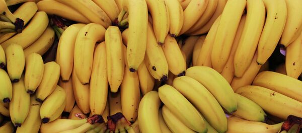 Bananas - Sputnik Brasil