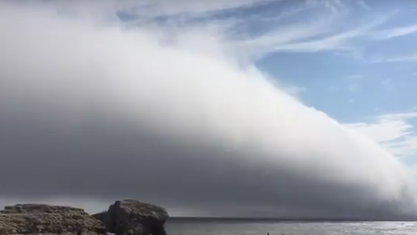 Nuvem enorme sobre uma praia na Califórnia - Sputnik Brasil