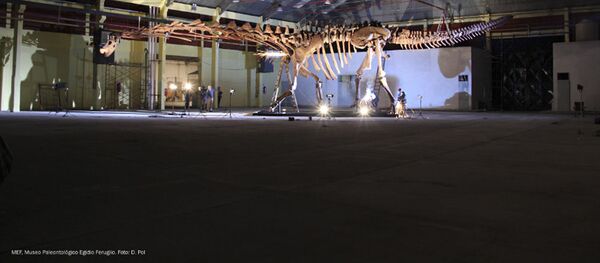 Patagotitan, supostamente, o maior animal que já habitou a Terra - Sputnik Brasil